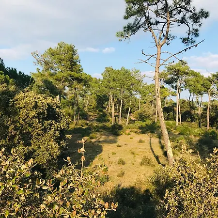 Maison Ocean, Standing Et * Saint-Jean-de-Monts