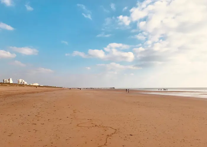 Maison Ocean, Standing Et Villa *