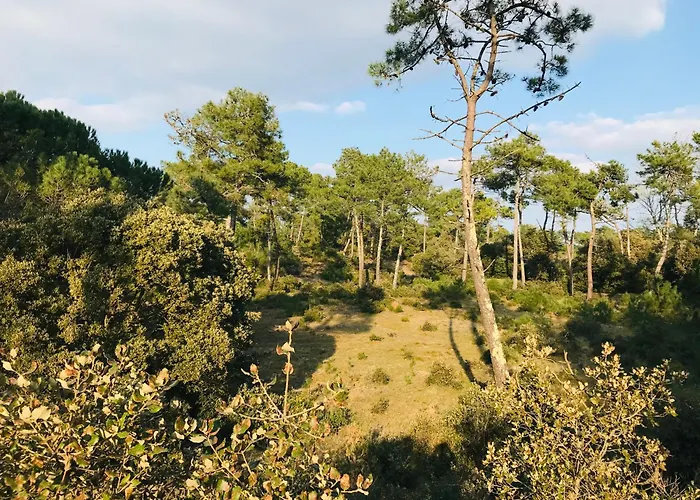 Maison Ocean, Standing Et * Saint-Jean-de-Monts